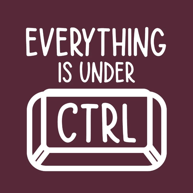 Everything Is Under Control Programmer Coder Softw