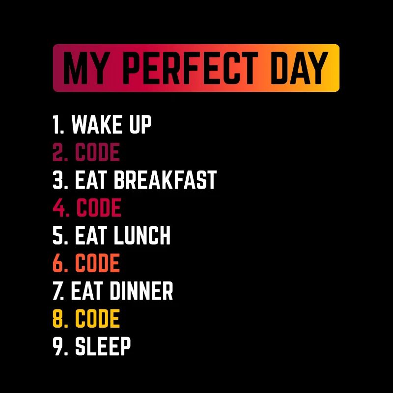 My Perfect Day Wake Up Code Software Developer Pro