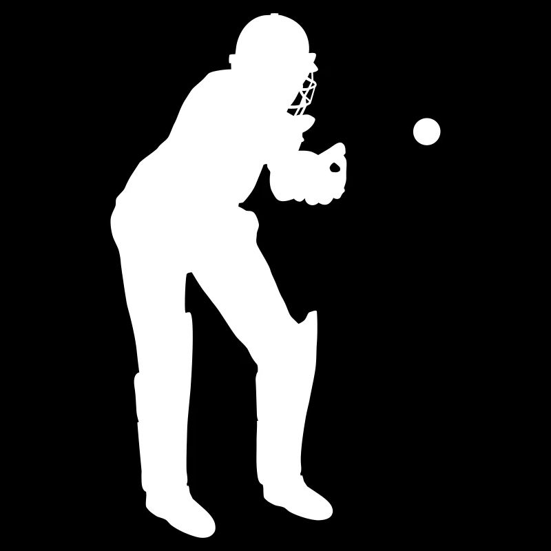 Cricket Catcher in Aktion