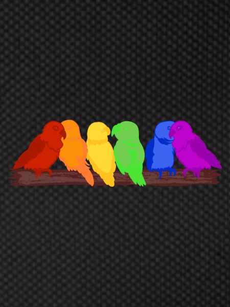 Rainbow of birds