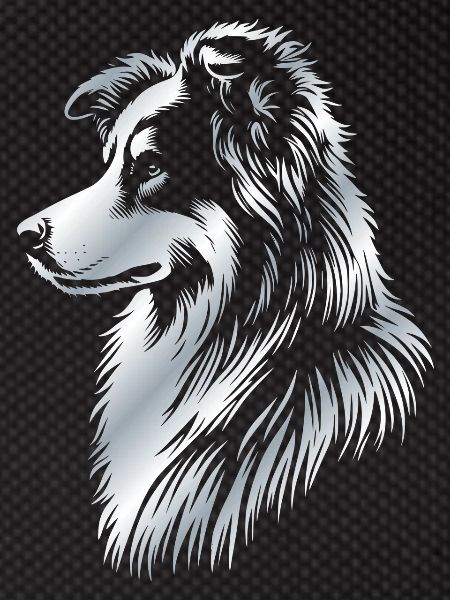 Herding dog silver