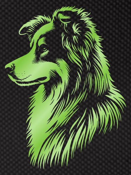 Herding dog green
