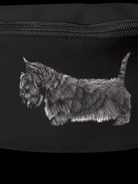 Terrier écossais UB