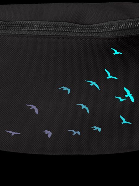 Bird migration
