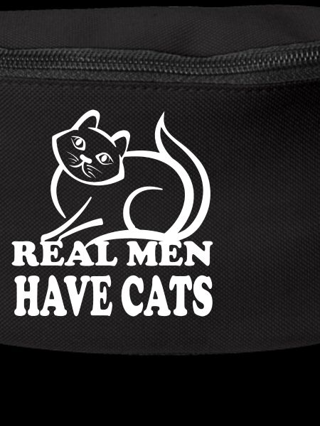 Cat cat
