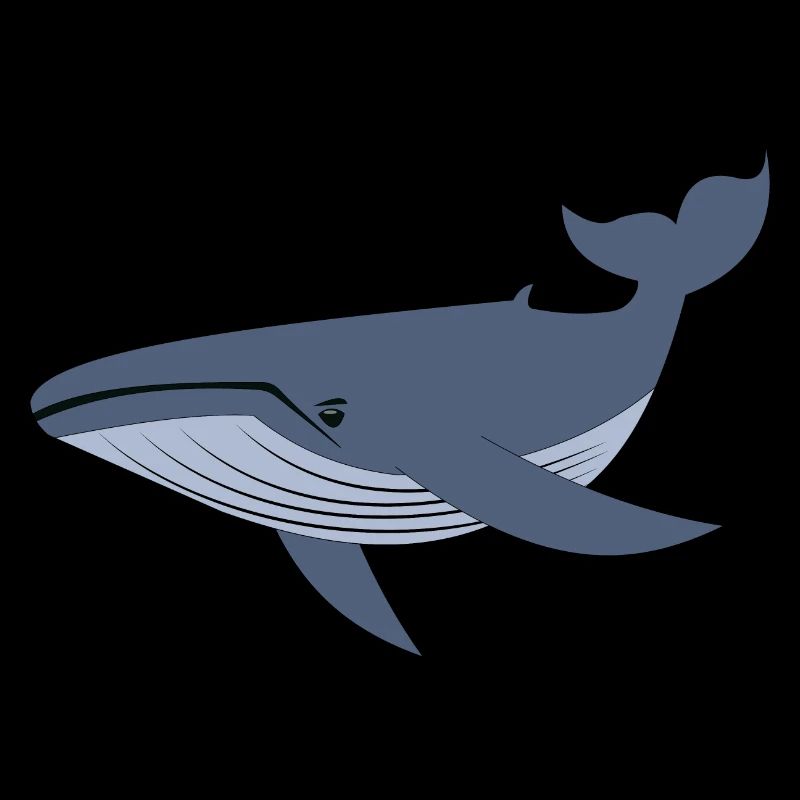 Baleine bleue, baleine