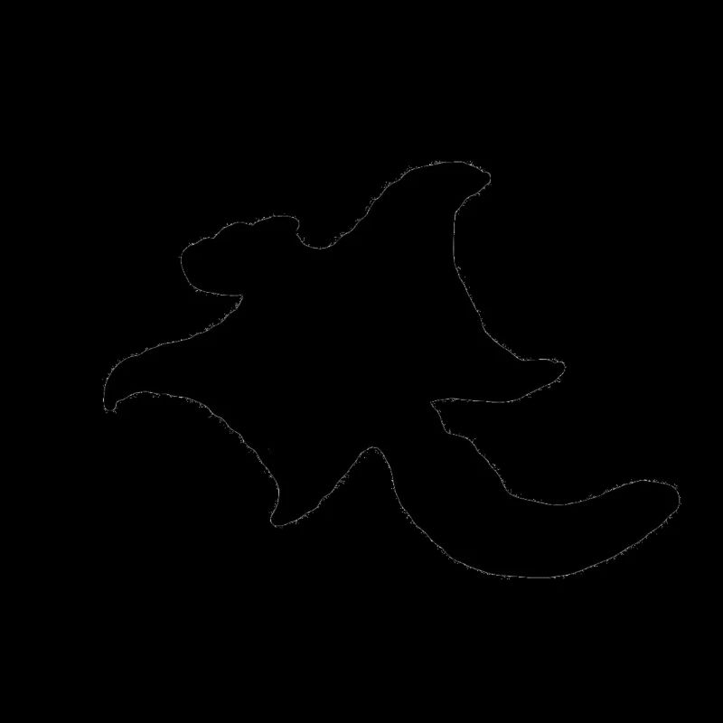 Flying squirrel (logo large, black)