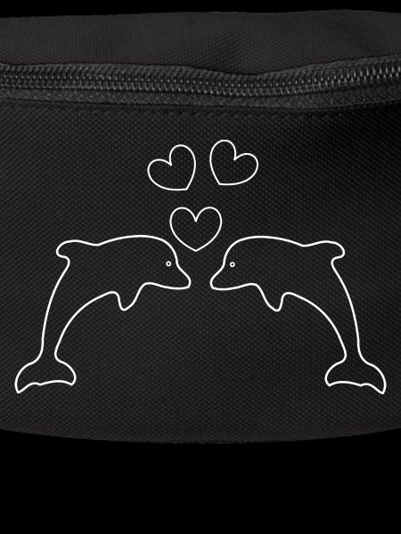 Dolphins in love