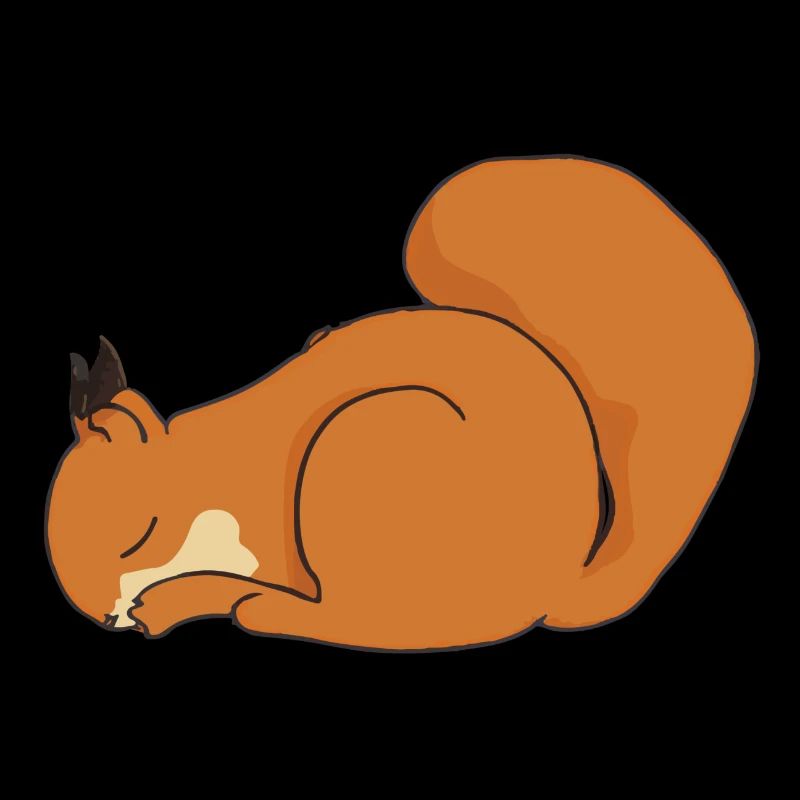 Sleeping Squirrel Gift Idea Pyjamas