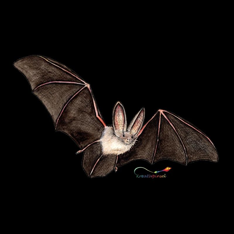 Mouse ear, a bat
