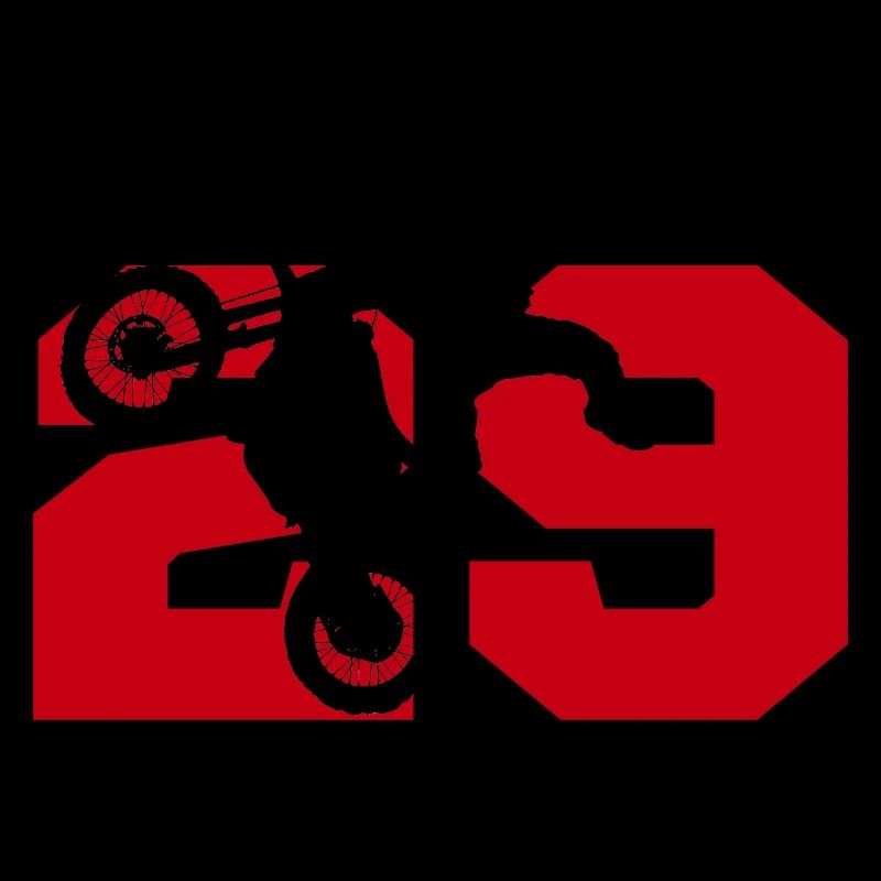 Moto 29 Biker