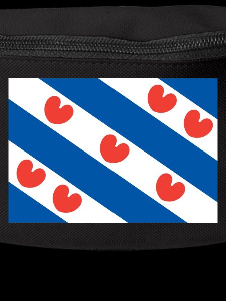 Frisian flag