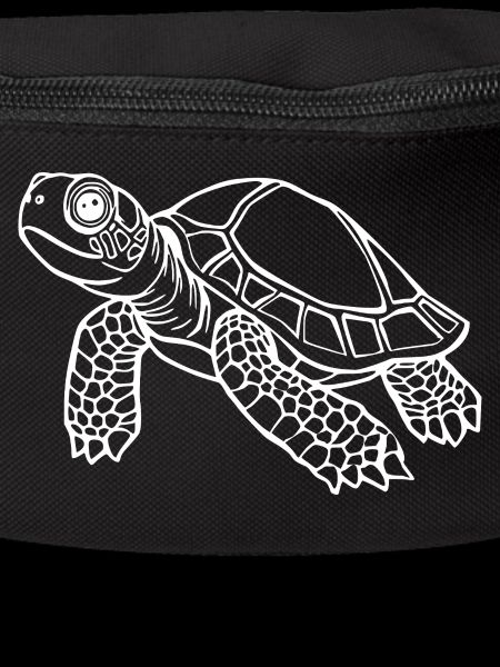 Turtle Turtles
