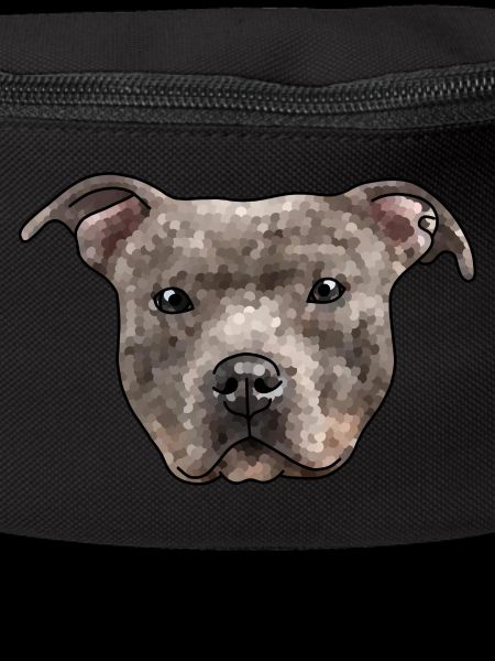 Staffy