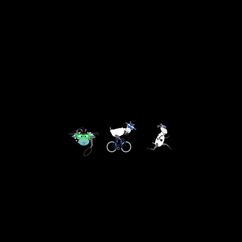 Triathlon Langdistanz