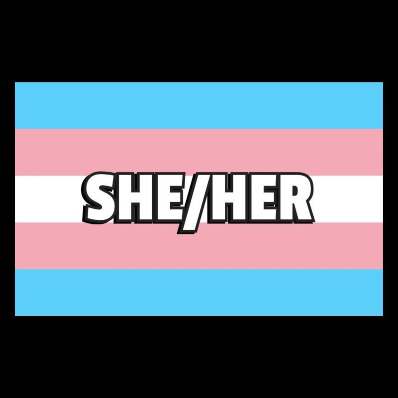 Transfem Elle Son Transfem Drapeau Trans