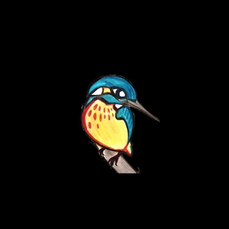 Eisvogel