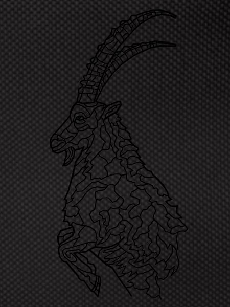 Capricorn
