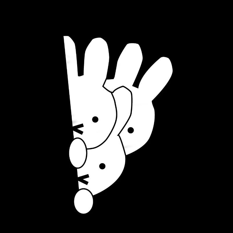 rabbit