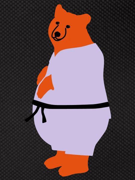 taekwondo bear