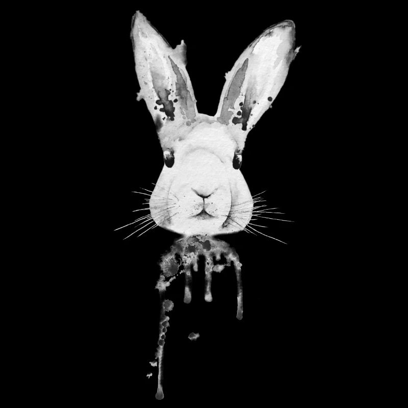 Rabbit Black White