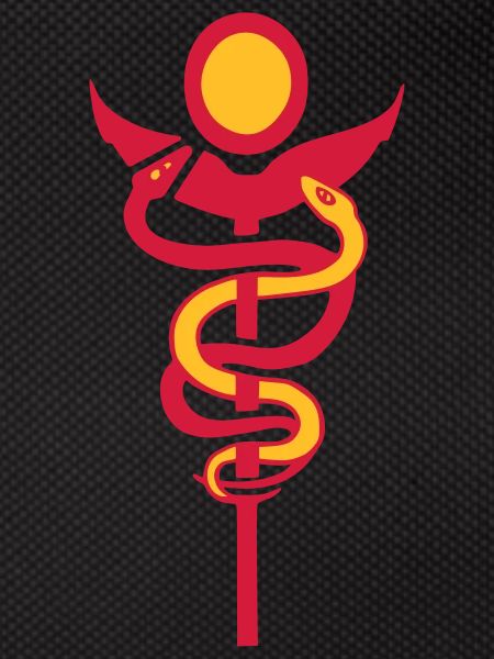 caduceus physio