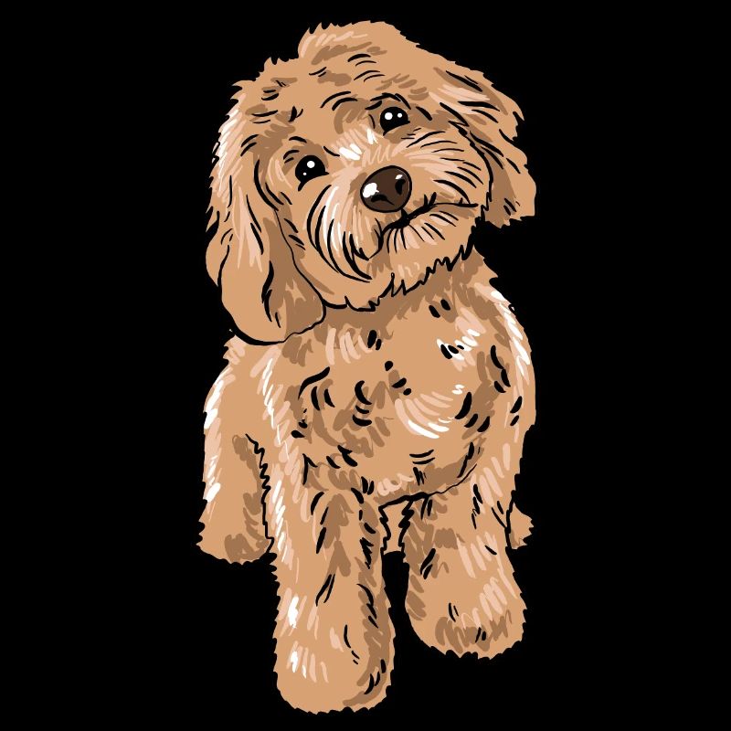 Chien Cockapoo