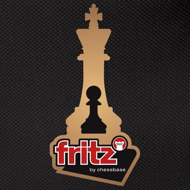 Fritz 19 Rey y Peón de ajedrez