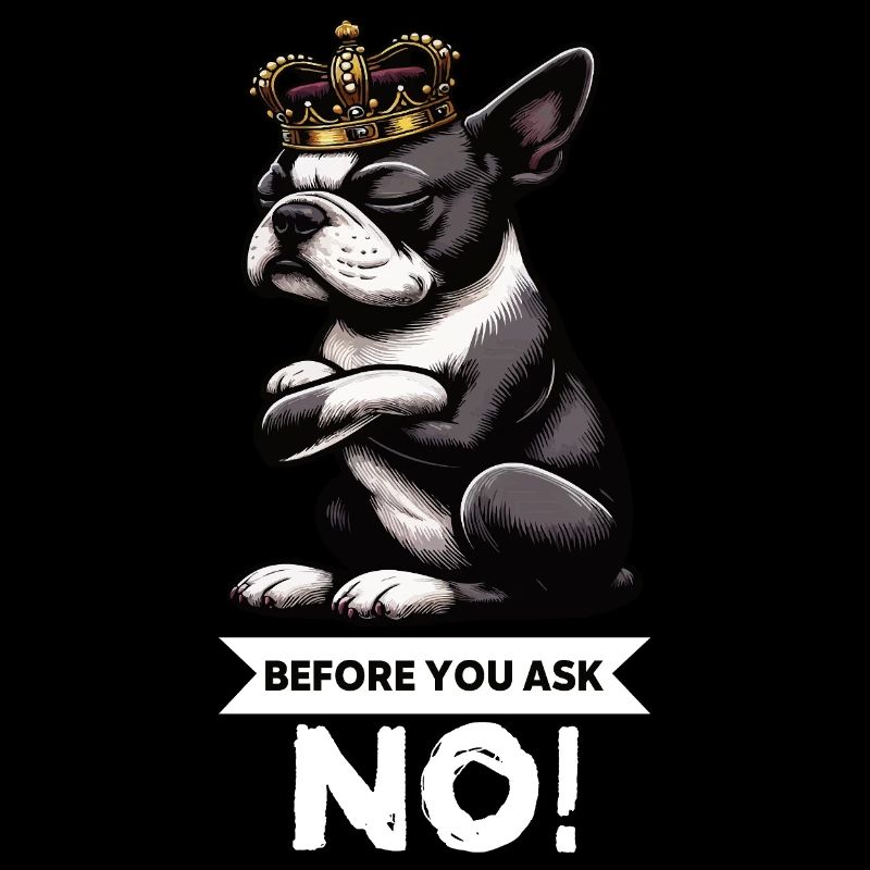 Before You Ask Boston Boston terrier Bostie Bosti