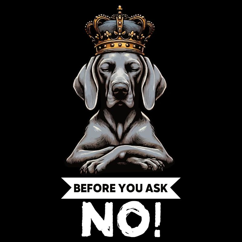 Before You Ask Weimaraner Weimaraner Lovers