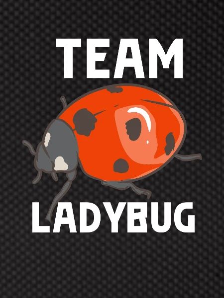 Team Ladybug