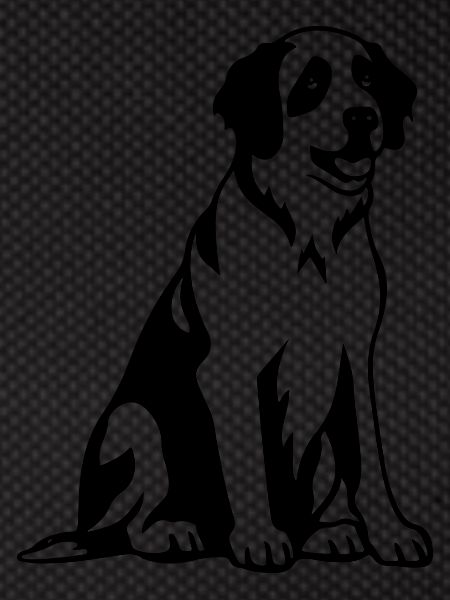 Saint Bernard Dog