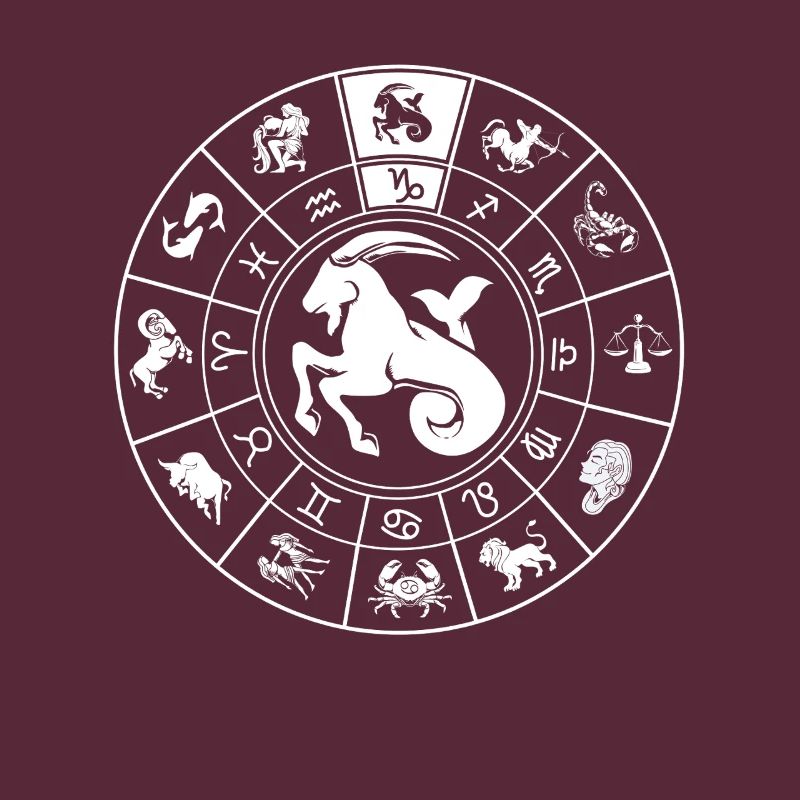 Sternzeichen Steinbock