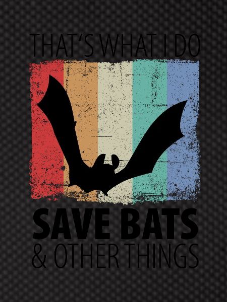 Bat Bats