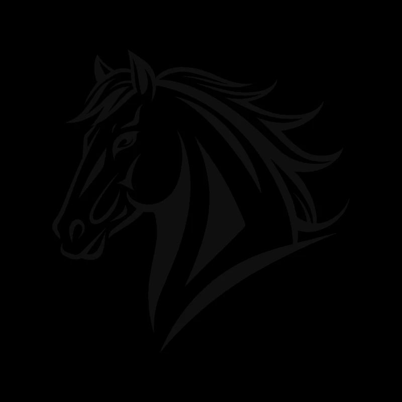 Cheval Équitation Équitation