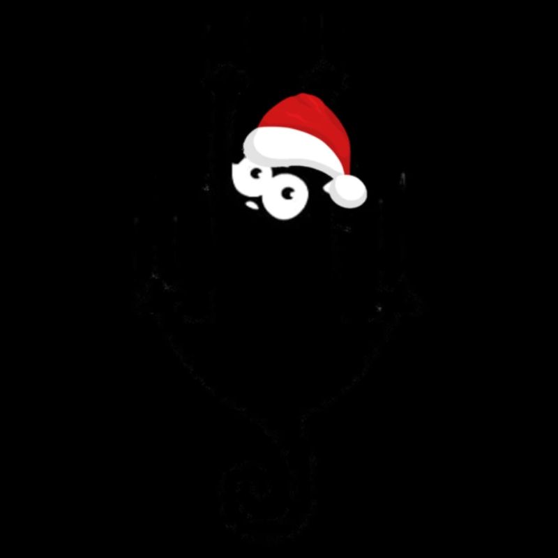 chat de Noël