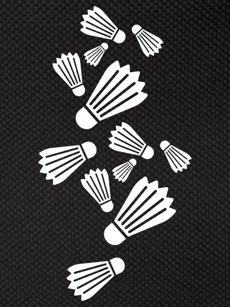 badminton sport