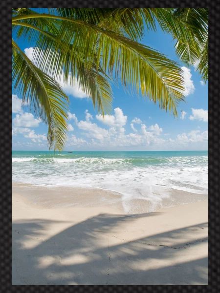 Summer