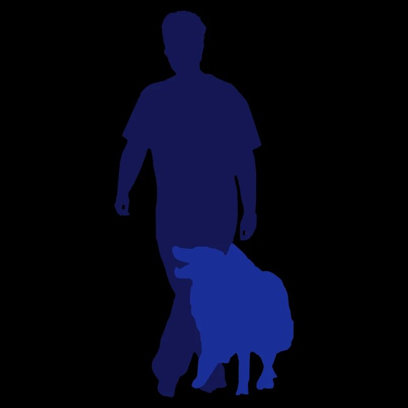 Obedience heelwork