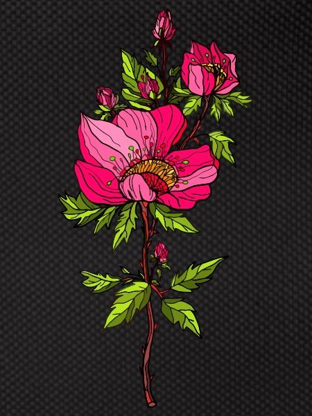 Red Roses