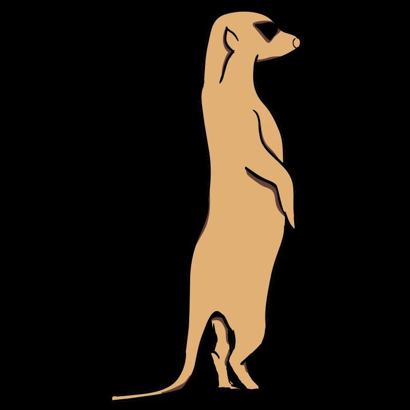 Erdmännchen