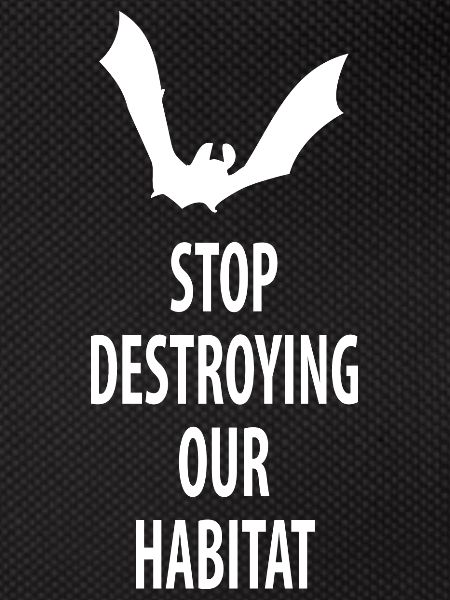 Bat Bats