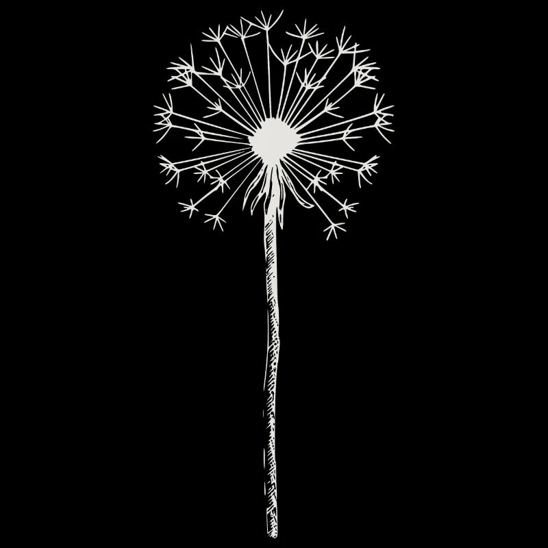 Pusteblume - Löwenzahn - Natur
