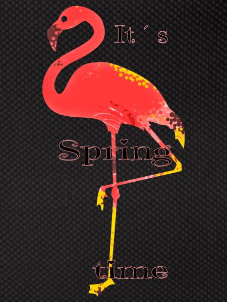 Flamingo