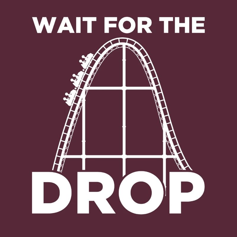 Wait for the drop Rollercoaster Achterbahn
