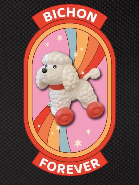 Bichon forever rainbow
