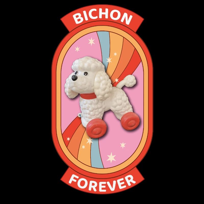 Bichon forever arc en ciel
