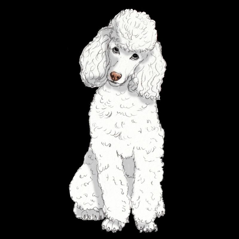 Caniche jouet blanc