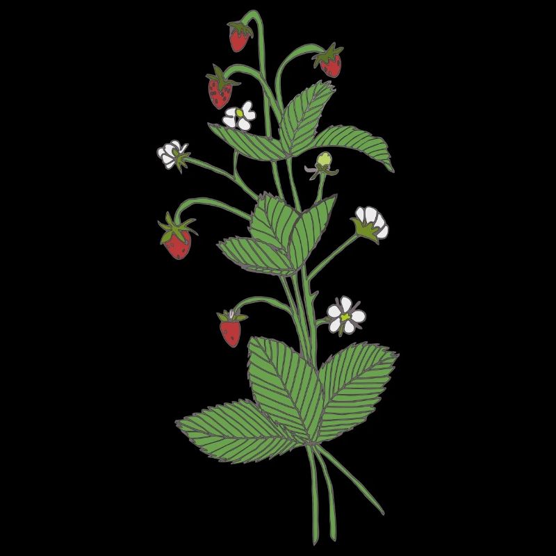 Wild strawberries