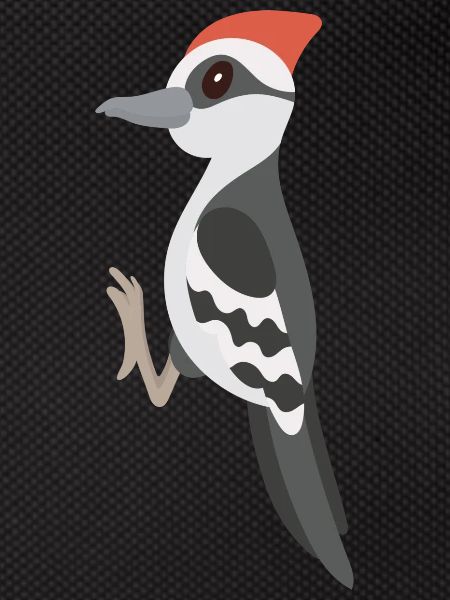 Pivert